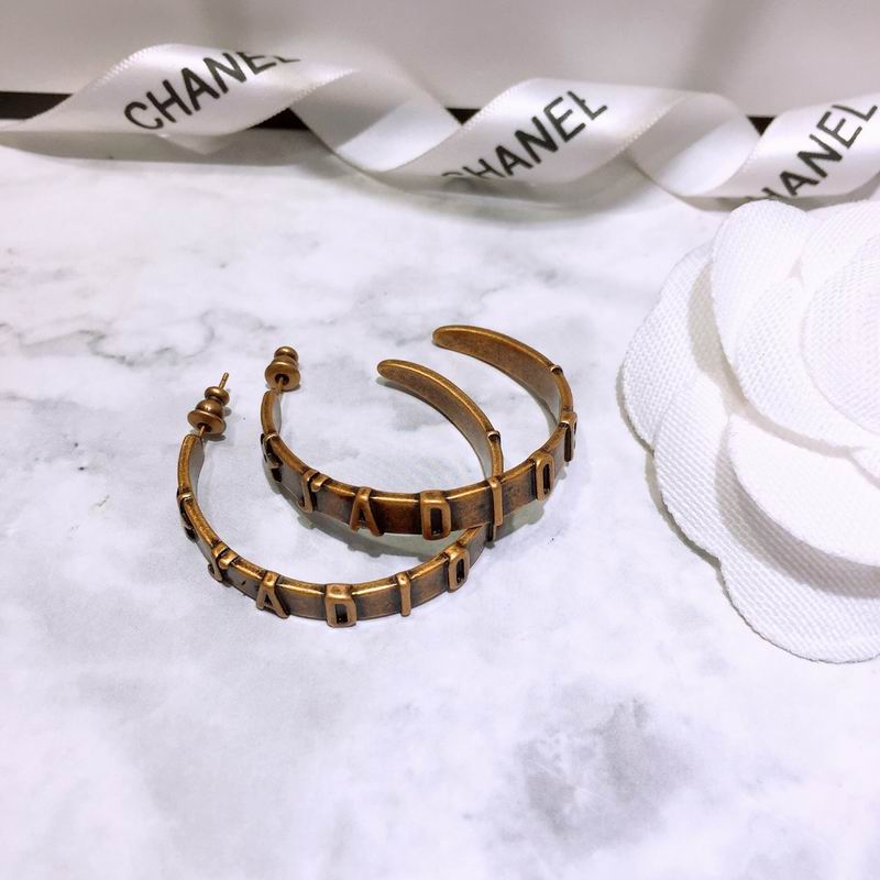 Dior Earring 04lyr339